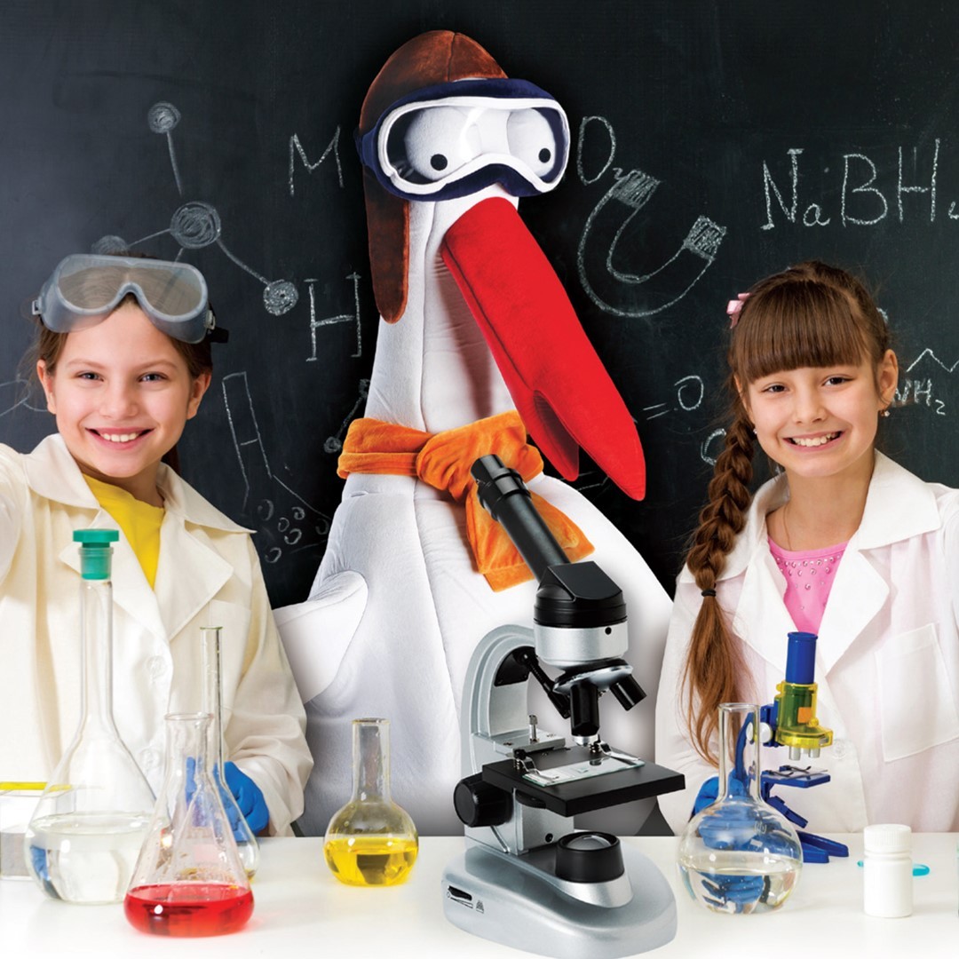 Physics for schools Physics for schools